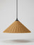 Ravelle Outdoor Pendant - Image 2