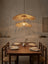 Mosca Pendant Light - Image 4